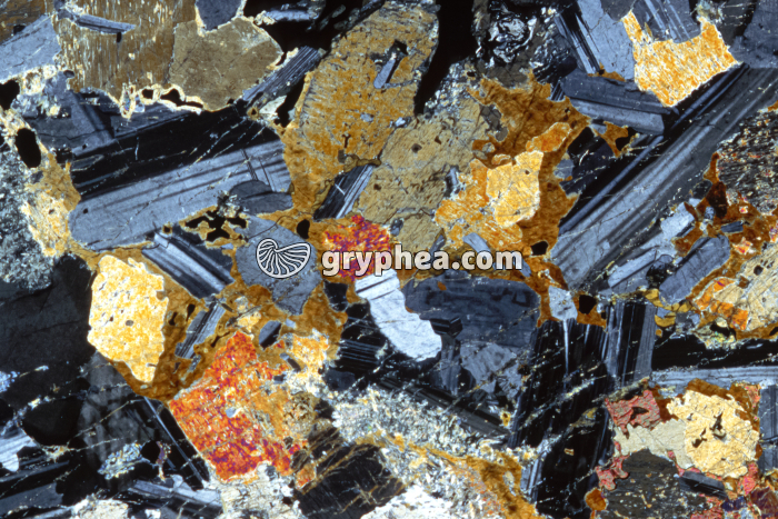 Feldspaths plagioclases dans un gabbro LPA x5 - gryphea.org
